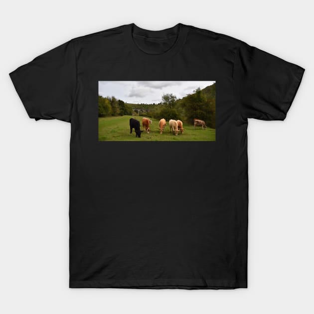 Headstone Viaduct  Monsal Dale T-Shirt by Graz-Photos